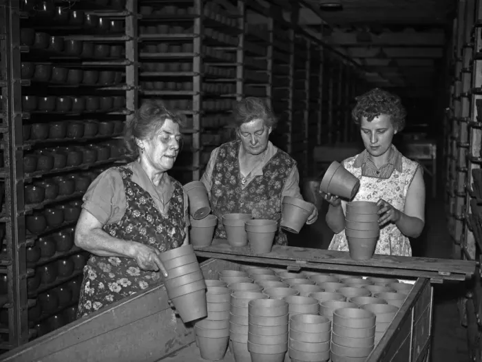 Framed Print : Bilston Pottery 5th May 1958 Women in the drying room loading flower pots ready to