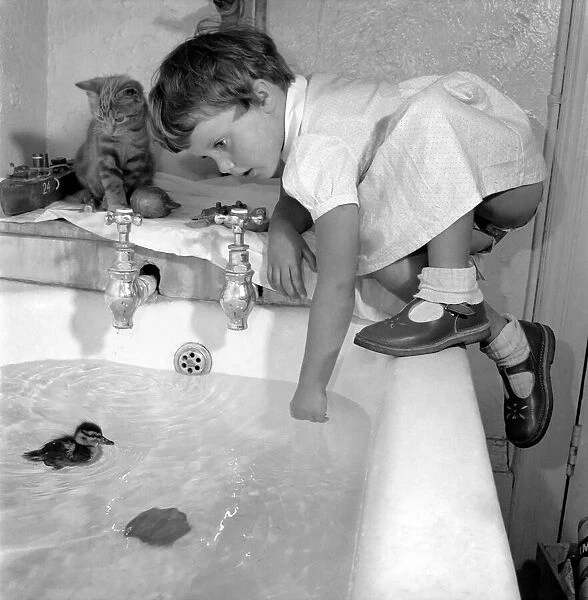 Birds Children. A little girl plays with a duckling in the bath as her kitten watches