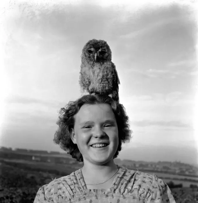 Framed Print : Birds Humour. On me ead son. Kathleen Goddard seen with Toby the owl perch Framed Print : Birds Humour. On me ead son. Kathleen Goddard seen with Toby the owl perch