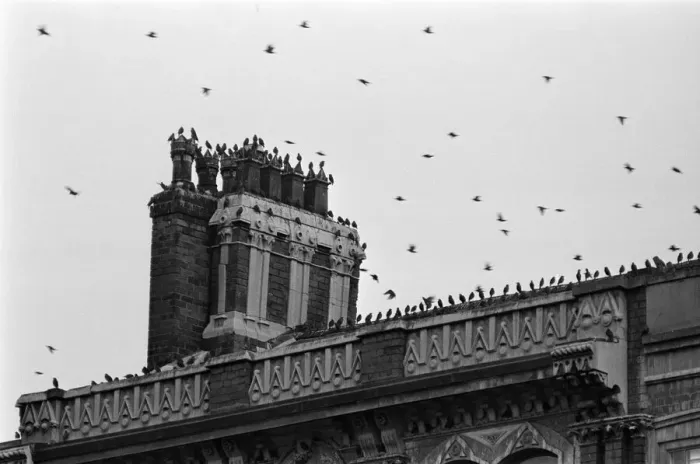 Framed Print : Birds on a rooftop in, Victoria Square, Birmingham, West Midlands, 11th September 1973 Framed Print : Birds on a rooftop in, Victoria Square, Birmingham, West Midlands, 11th September 1973