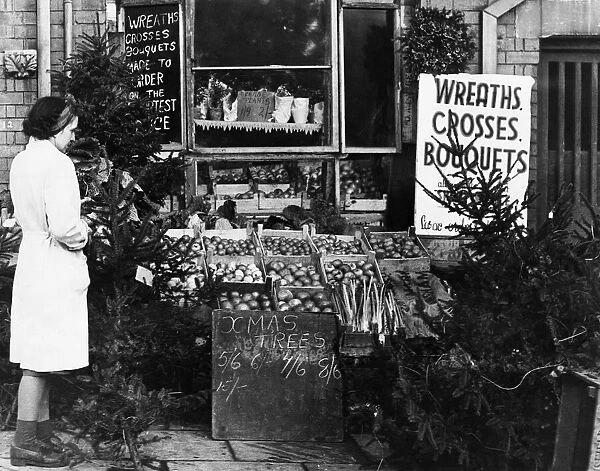 Birmingham greengrocers selling Christmas trees. West Midlands, 2nd December 1947