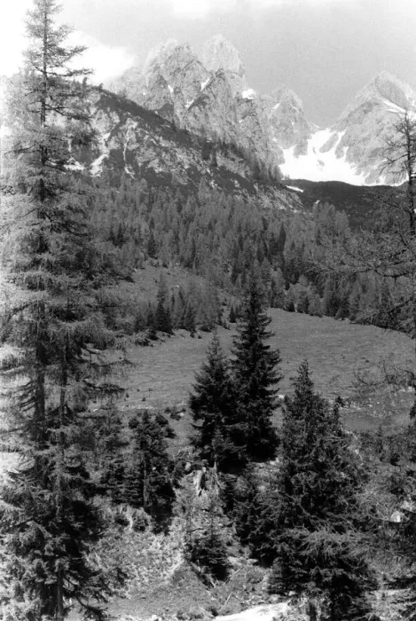Framed Print : The Bischofsmutze Peaks near Filzmoos, Austria. P000167 Circa 1950 Framed Print : The Bischofsmutze Peaks near Filzmoos, Austria. P000167 Circa 1950
