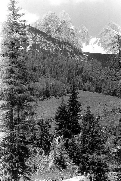 The Bischofsmutze Peaks near Filzmoos, Austria. P000167 Circa 1950