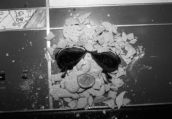 Biscuit Art by Elton Sir Elton Johns idea of art in the recording studio