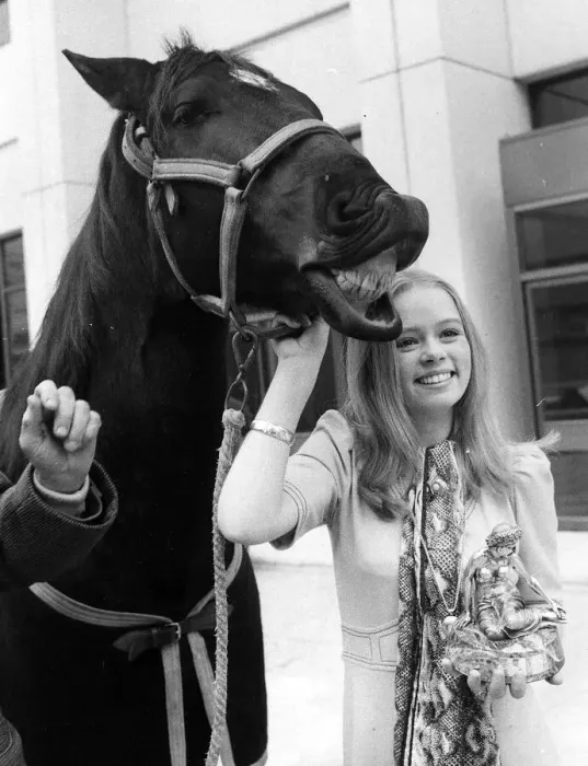 Framed Print : Black Beauty TV Programme with Stacy Dorning 1974 A©mirrorpix