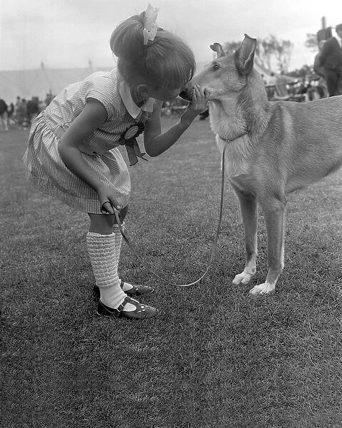 Blackpool Championship Dog Show 1967 - A kiss for the best Breed Collie from Rosalind