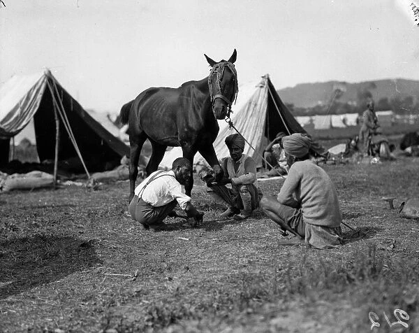 Blacksmith of the 3rd Lahore Indian Division seen here inspecting the companies horses