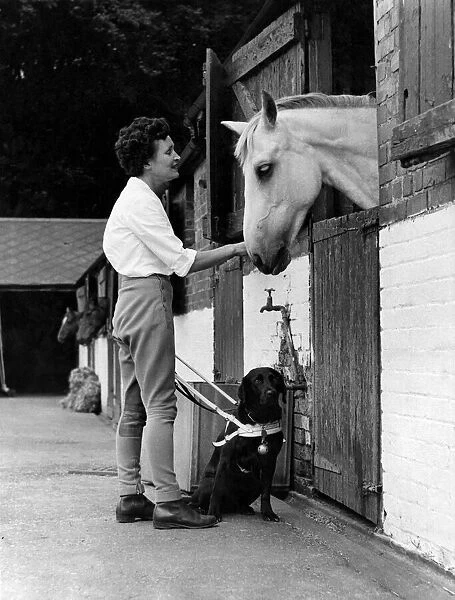 A blind woman visiting the Forest Lodge riding-school at Epping in Essel