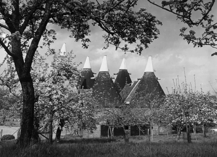 Framed Print : Blossoms on the trees surrounding the oast houses in Betsham near Dartford Framed Print : Blossoms on the trees surrounding the oast houses in Betsham near Dartford