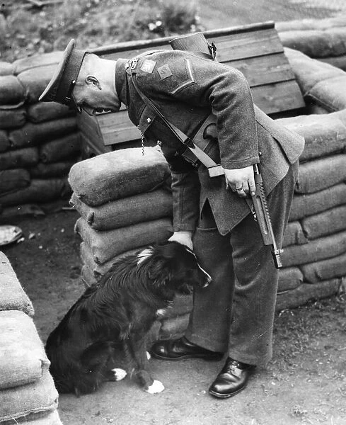 The Blue Cap Military Police. Officer with his Border Collie