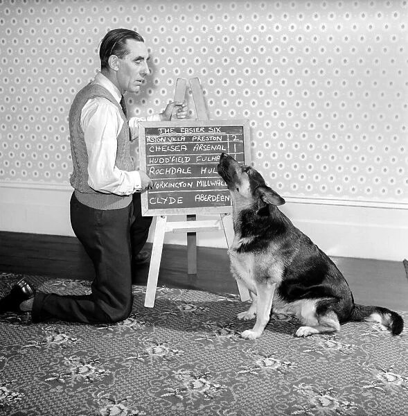Bob Smith and his alsatian dog who helps him pick his football pools. 1957