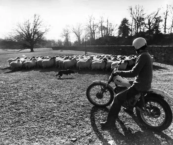 Framed Print : Bobs fast round-up: Before hill farmer Bobby Lennox took up biking to the round-up