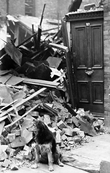 Bomb damage in Liverpool. Shep, the old dog standing outside the door of his home after