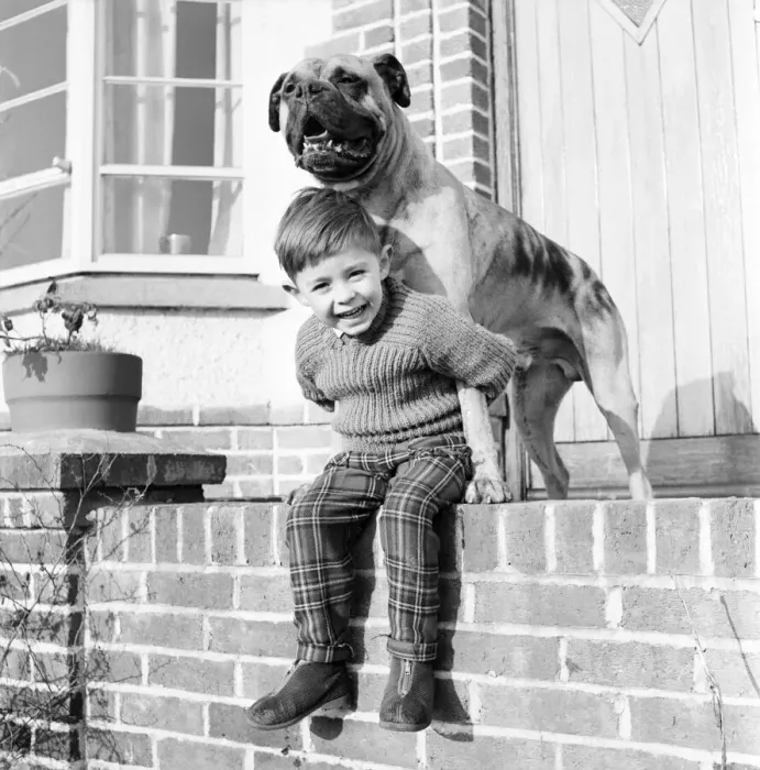 Framed Print : A boy and his best friend. Peter Hallett aged 4 seen here playing cowboys Framed Print : A boy and his best friend. Peter Hallett aged 4 seen here playing cowboys