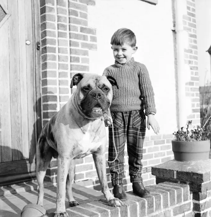 Framed Print : A boy and his best friend. Peter Hallett aged 4 seen here playing cowboys