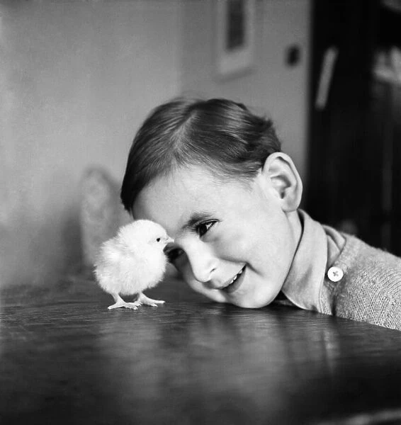 Boy and Chick. April 1954 C1592