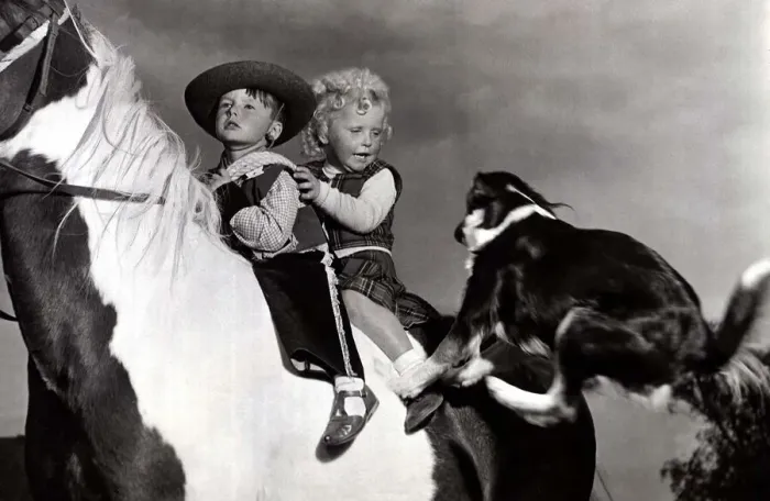 Framed Print : Boy and girl on horse as dog jumps on - October 1953 David Sutton dressed as cowboy Framed Print : Boy and girl on horse as dog jumps on - October 1953 David Sutton dressed as cowboy