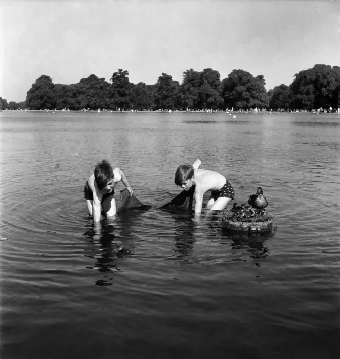 Framed Print : Boys fishing for minnows in Kensington Gardens, London. June 1952 C2853-002 Framed Print : Boys fishing for minnows in Kensington Gardens, London. June 1952 C2853-002