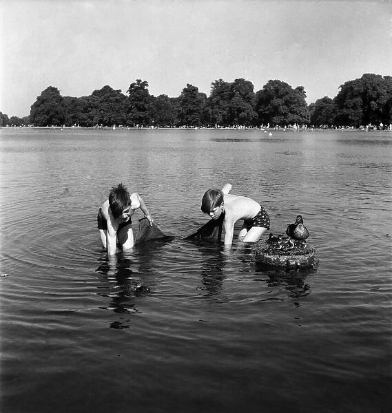 Boys fishing for minnows in Kensington Gardens, London. June 1952 C2853-002
