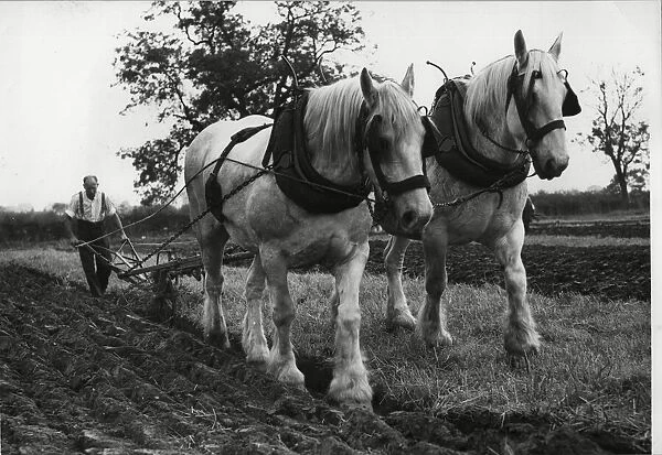 Brailsford ploughing match 15th October 1961