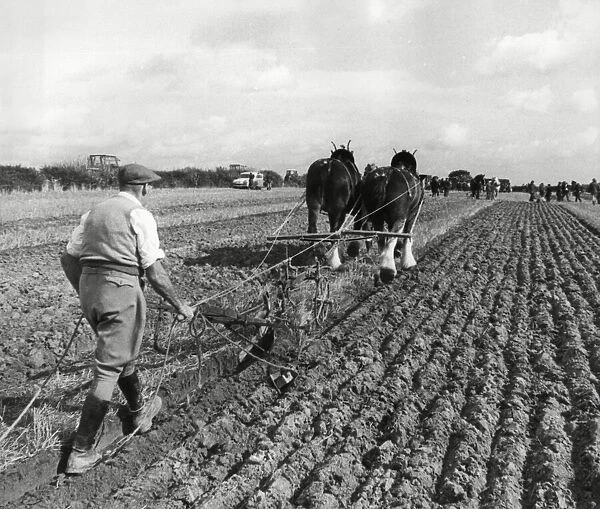Brailsford ploughing match 15th October 1975