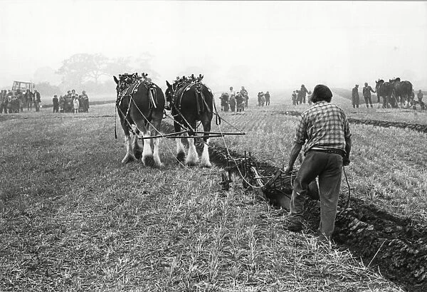 Brailsford Ploughing Match 1982