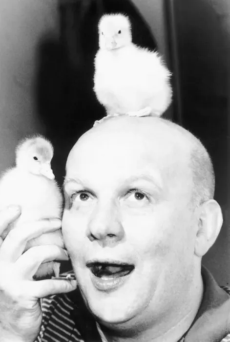 Framed Print : Brian Glover British actor with pet goslings, July 1984 Framed Print : Brian Glover British actor with pet goslings, July 1984