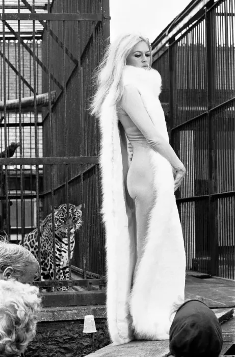 Framed Print : Brigitte Bardot French actress in skin tight catsuit with fur cape standing beside cage Framed Print : Brigitte Bardot French actress in skin tight catsuit with fur cape standing beside cage