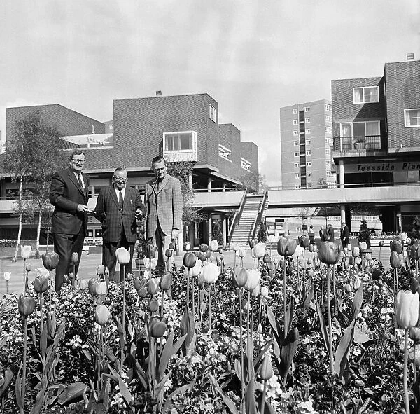 Britain in Bloom judges in Thornaby-on-Tees. 1972