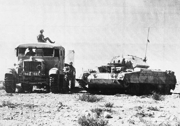 British & Allied Troops, Western Desert campaign, the Desert War
