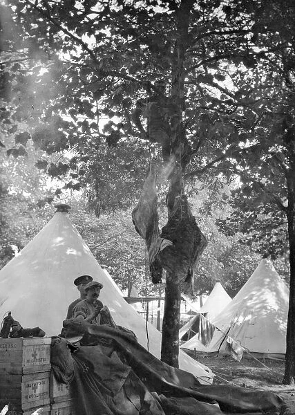 British Army cooks seen here hanging a couple of beef carcases from a tree