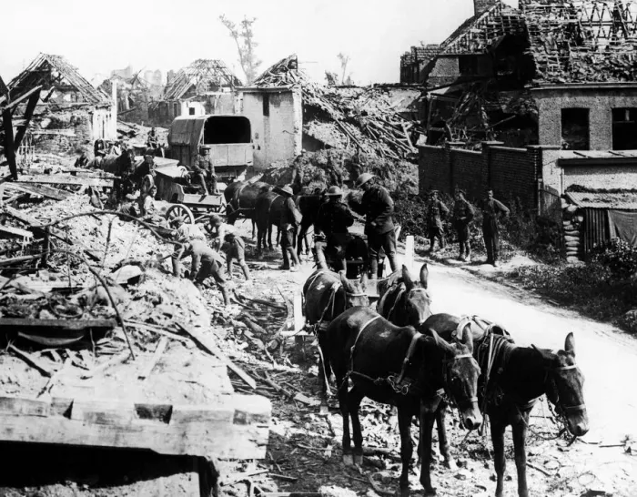 Framed Print : British Army sappers seen clearing clearing the road for transport in Flanders following Framed Print : British Army sappers seen clearing clearing the road for transport in Flanders following