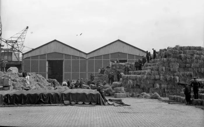 Framed Print : British Army stockpile feed and hay for their horses on a Boulogne dockside before