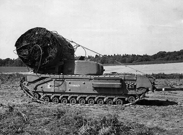 A British AVRE with fascine (a large roll of chestnut palings) in position