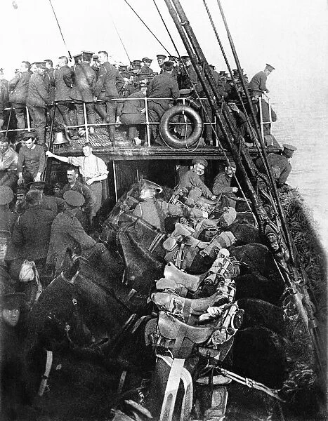 British cavalry and horses on board ship on their way to France, August 1914