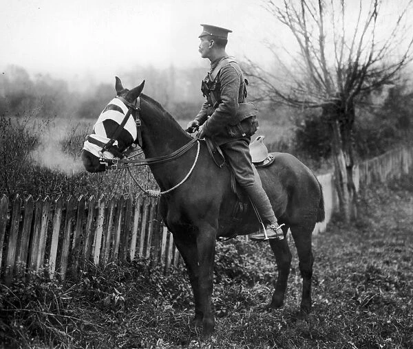 A British Cavalry Scout on alert. This image shows the care our men take of their horses