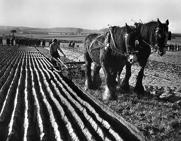 British National Championship Ploughing Match, Tadcaster