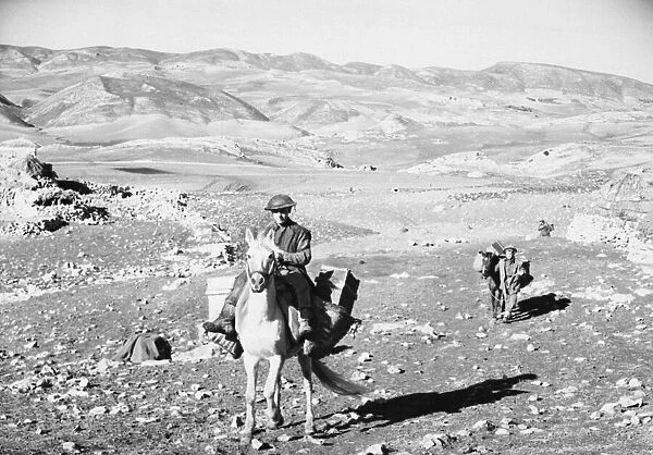 British pack mules in Africa during the Second World War. 17th January 1943