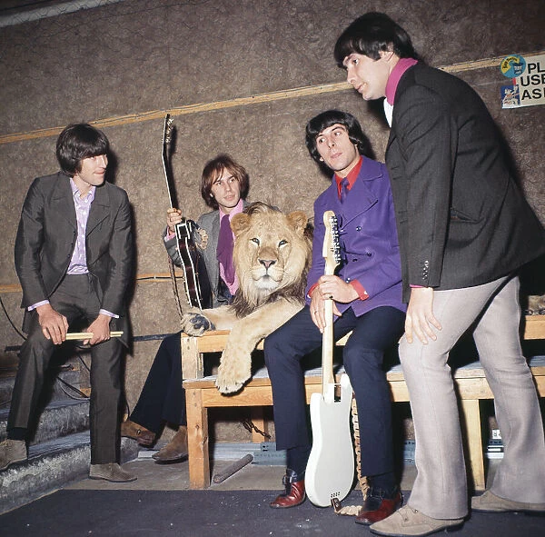 British rock group The Troggs with their rent a lion during the recording of their single
