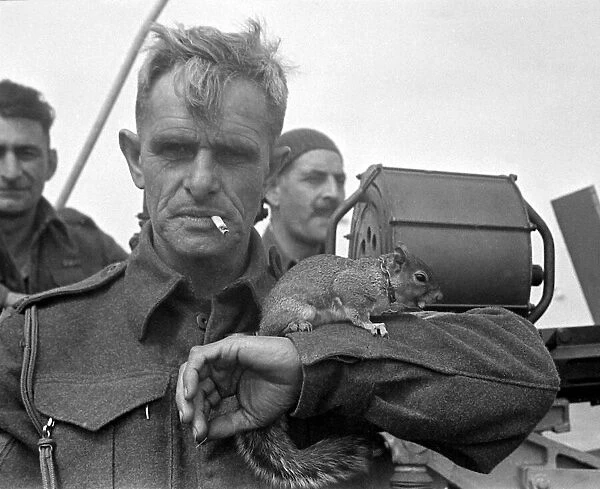 British soldier with a squirrel on his arm at a Normandy port in Northern France shortly