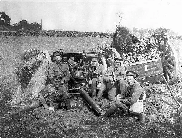 British Soldiers with gun covered with wheat to hide it from German aircraft during