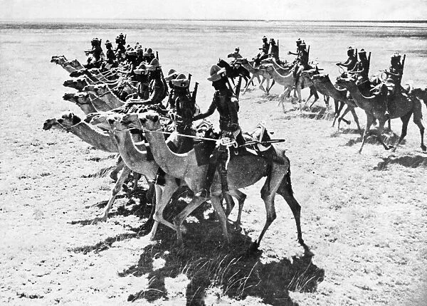 The British Somaliland Camel Corps on Patrol. The regiment is The Kings African