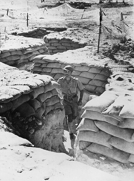 British troops in Eastern Desert. (Picture) A communication trench sandbagged