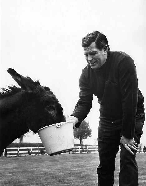 British wrestler Count Bartelli feeding his horse April 1971 P005666
