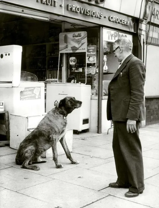 Framed Print : Bruce the shop dog is passed on to a new owner as Arthur Turner retires from Framed Print : Bruce the shop dog is passed on to a new owner as Arthur Turner retires from