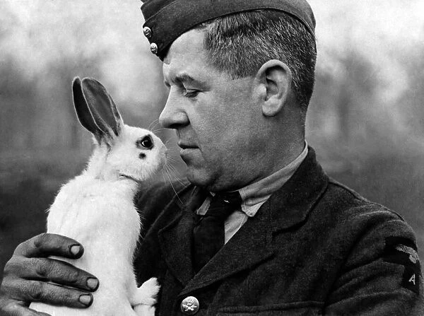 Bugs the rabbit who is mascot to one of The Barrage Balloon sites in one of the large