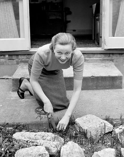 A busy housewife tending to the weeds in the front garden Circa 1954