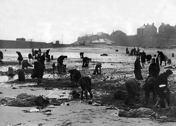 A busy scene on the beach at Roker, where large quantities of sea coal have been washed