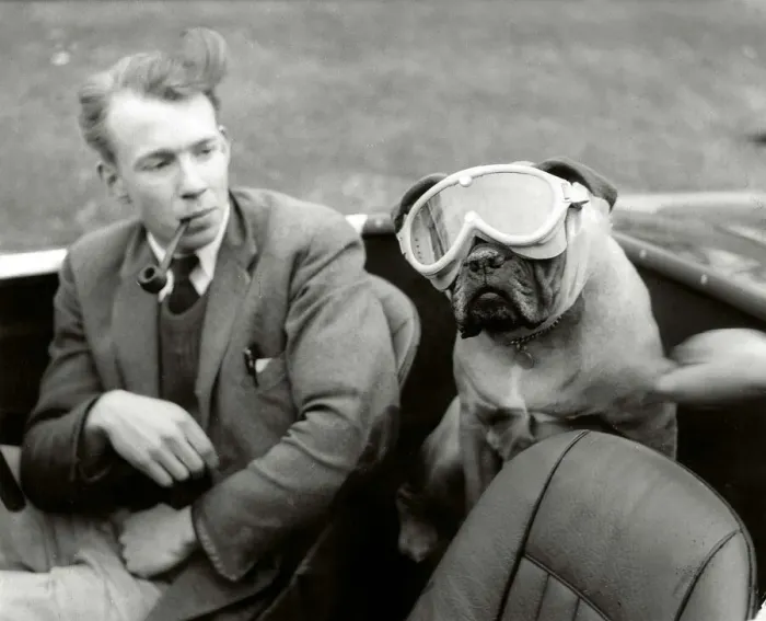 Framed Print : You can now buy doggie goggles to protect motoring pets eyes from dust Man smoking Framed Print : You can now buy doggie goggles to protect motoring pets eyes from dust Man smoking