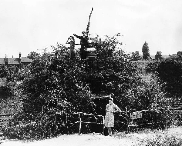 Buzz bomb spotters in their tree top lookout 1944 Peter Mulligan Joyce Brain